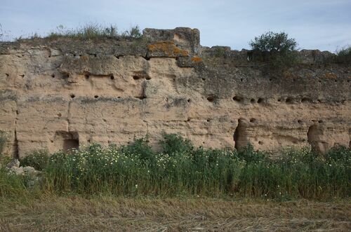 Detalle por el interior de la muralla del extremo sur (7) del recinto de Sanlucar la Mayor