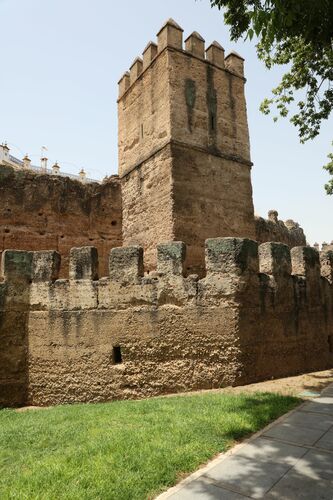 Una torre y su antemuro 