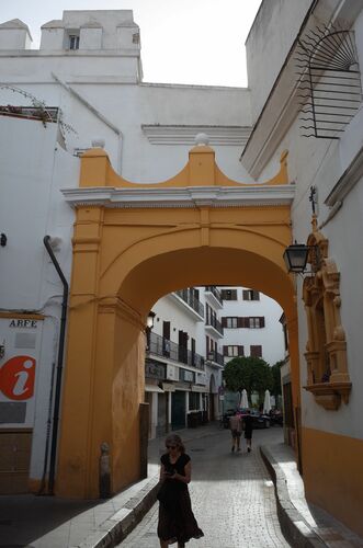 Detalle del arco adosado por el exterior del postigo del Aceite de Sevilla